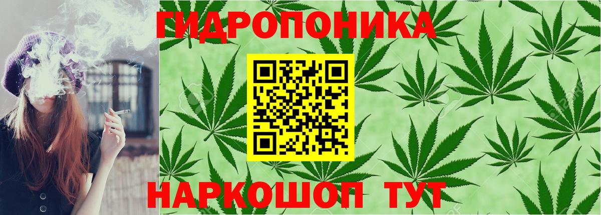 Каннабис White Widow Кинель